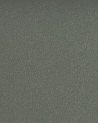 7593 Granite by  Charlotte Fabrics 