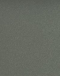 7593 Granite by  Charlotte Fabrics 