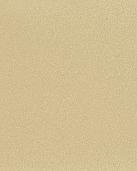 7594 Ecru by  Charlotte Fabrics 