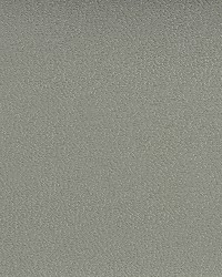 7596 Zinc by  Charlotte Fabrics 