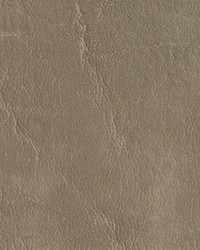 7620 Taupe by   