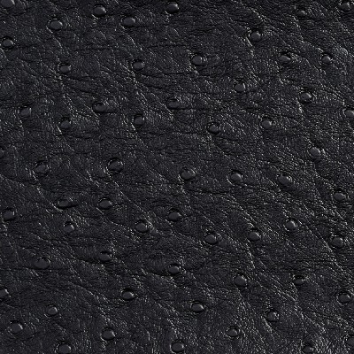 Charlotte Fabrics 7703 Onyx Black Upholstery Virgin  Blend Fire Rated Fabric Automotive Vinyls