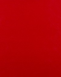 7745 American Beauty by   