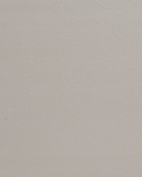 7834 Stonehedge by  Charlotte Fabrics 