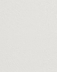 7927 Brilliant White by   