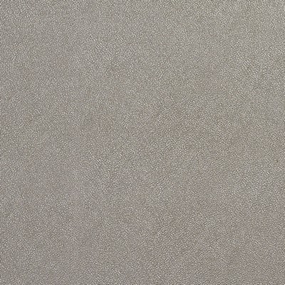 Charlotte Fabrics 8028 Platinum Silver Upholstery Virgin  Blend Fire Rated Fabric High Wear Commercial Upholstery CA 117 Discount VinylsAutomotive Vinyls