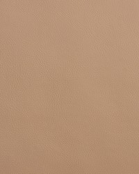 8075 Sandstone  by   