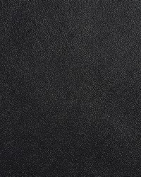 Charlotte Fabrics Allsport-Nonslip Black Fabric