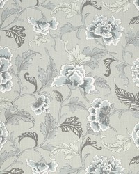 CB700-584 by  Mirage 