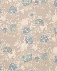 CB700-593 by  Mirage 