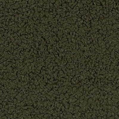 Charlotte Fabrics CB800 367 Green Upholstery Polyester Fire Rated Fabric Heavy Duty CA 117 NFPA 260 Woven 