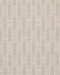 CB800-465 by  Mirage 