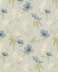 CB800-476 by  Mirage 