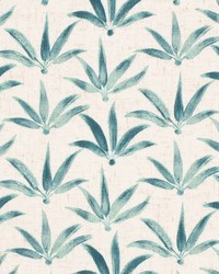 CB900-153 by  Mirage 