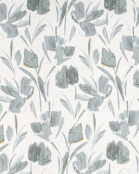 CB900-156 by  Mirage 