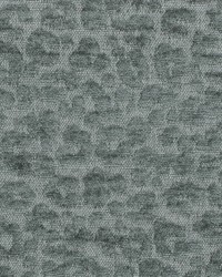 CB900-165 by  Mirage 