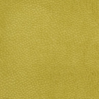 Charlotte Fabrics CB900-22 Green Multipurpose Woven  Blend Fire Rated Fabric Animal Print Patterned Chenille High Wear Commercial Upholstery CA 117 NFPA 260 