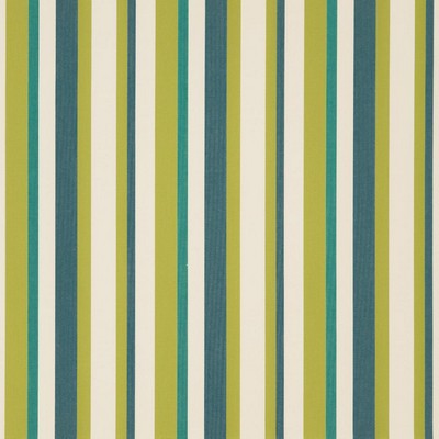 Charlotte Fabrics D1012 Meadow Stripe Green Multipurpose Solution  Blend Fire Rated Fabric High Performance CA 117 NFPA 260 Damask Jacquard Stripes and Plaids Outdoor Striped 