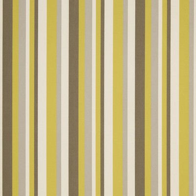 Charlotte Fabrics D1014 Lemon Yellow Multipurpose Solution  Blend Fire Rated Fabric High Performance CA 117 NFPA 260 Damask Jacquard Stripes and Plaids Outdoor Striped 
