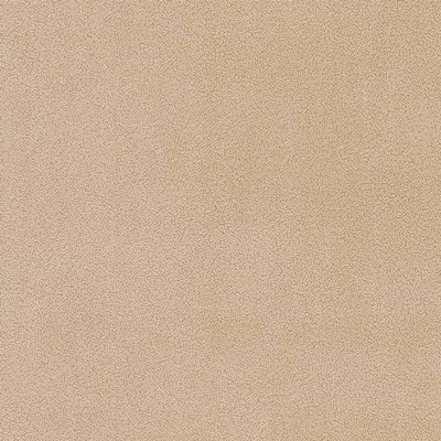 Charlotte Fabrics D1044 Cream Beige Multipurpose Nylon  Blend Fire Rated Fabric High Wear Commercial Upholstery CA 117 NFPA 260 Microsuede Solid Velvet 