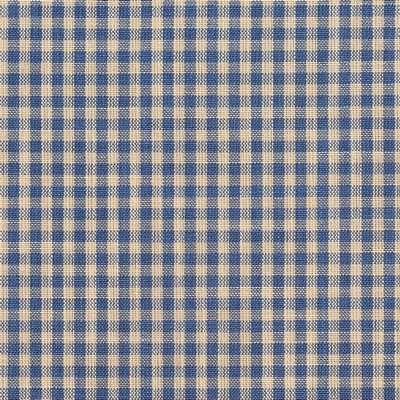 Charlotte Fabrics D116 Wedgewood Gingham Multipurpose Woven  Blend Fire Rated Fabric High Wear Commercial Upholstery CA 117 Woven 