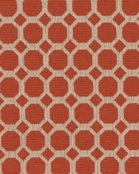 Charlotte Fabrics D1231 Spice Honeycomb Fabric