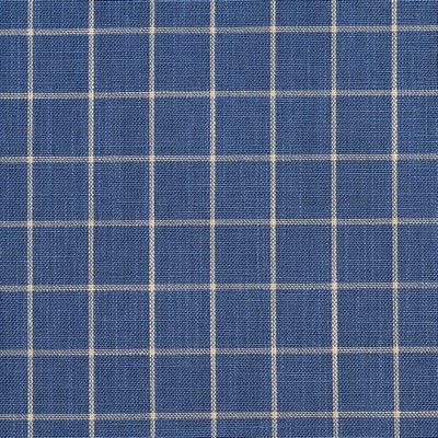 Charlotte Fabrics D123 Wedgewood Checkerboard Blue Multipurpose Woven  Blend Fire Rated Fabric Check High Wear Commercial Upholstery CA 117 Woven 