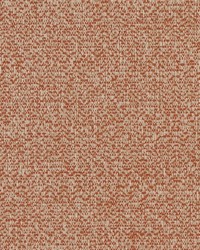Charlotte Fabrics D1248 Spice Texture Fabric