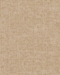 D1342 Wheat by  Charlotte Fabrics 