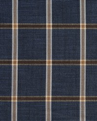D141 Indigo Windowpane by   