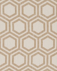 D1635 Sand Dollar by   