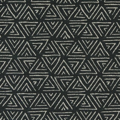 Charlotte Fabrics D1653 Amazon Black Multipurpose Acrylic Fire Rated Fabric Geometric High Performance CA 117 NFPA 260 