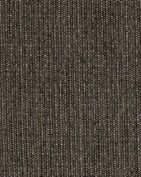 Charlotte Fabrics D1956 Carbon Fabric