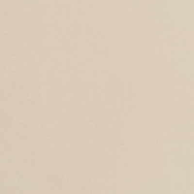 Charlotte Fabrics D2097 Cream Beige Upholstery Woven  Blend Fire Rated Fabric High Wear Commercial Upholstery CA 117 NFPA 260 Microsuede 