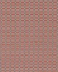 D2161 Salmon Stack by  Charlotte Fabrics 