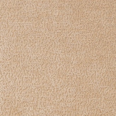 Charlotte Fabrics D2230 Ecru Beige Upholstery Polyester Fire Rated Fabric Crypton Texture Solid High Wear Commercial Upholstery CA 117 NFPA 260 Solid Velvet 