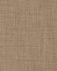 D2304 Taupe by   