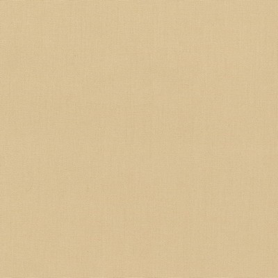 Charlotte Fabrics D2333 Barley Beige Multipurpose Cotton Fire Rated Fabric Canvas High Performance CA 117 NFPA 260 Solid Beige 