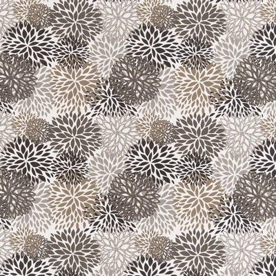 Charlotte Fabrics D2462 Hickory Brown Multipurpose Polyester Fire Rated Fabric Geometric High Performance CA 117 NFPA 260 Floral Outdoor 