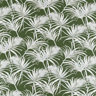 Charlotte Fabrics D2466 Fern Green Multipurpose Polyester Fire Rated Fabric High Performance CA 117 NFPA 260 Tropical Leaves and Trees 