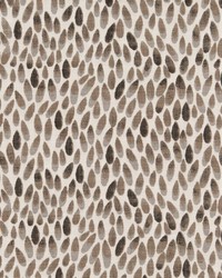 D2506 Umber by  Charlotte Fabrics 