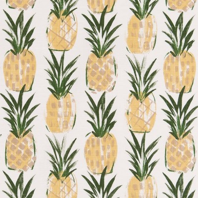 Charlotte Fabrics D2516 Pineapple Green Multipurpose Polyester Fire Rated Fabric High Performance CA 117 NFPA 260 Tropical Miscellaneous Novelty 