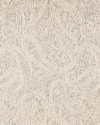 D2596 Paisley Pewter by   