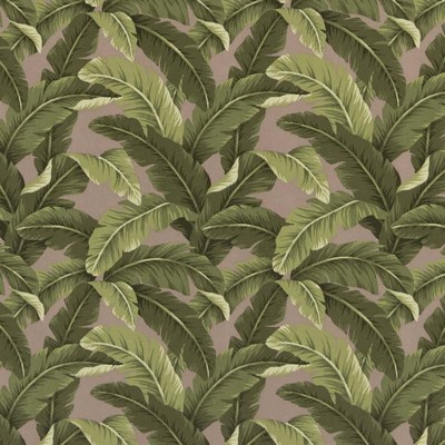 Charlotte Fabrics D2716 Fawn Green Multipurpose Spun  Blend Fire Rated Fabric High Performance CA 117 NFPA 260 Tropical Leaves and Trees Floral Outdoor 