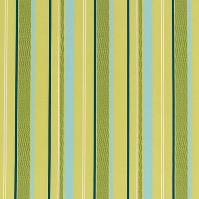 Charlotte Fabrics D2724 Kiwi Green Multipurpose Spun  Blend Fire Rated Fabric High Performance CA 117 NFPA 260 Stripes and Plaids Outdoor Striped 