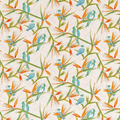 Charlotte Fabrics D2753 Tropical Orange Multipurpose Spun  Blend Fire Rated Fabric Birds and Feather High Performance CA 117 NFPA 260 Tropical Leaves and Trees Miscellaneous Novelty Fun Print Outdoor 