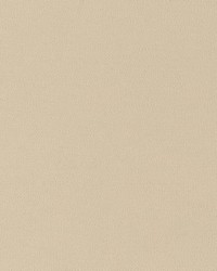 D2826 Taupe by  Charlotte Fabrics 