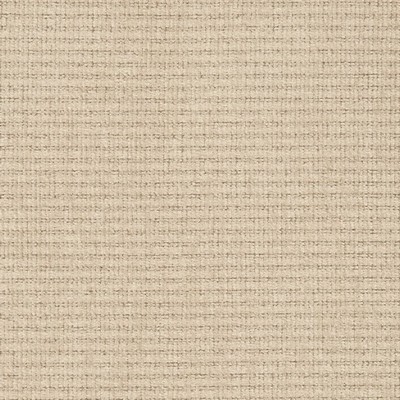 Charlotte Fabrics D2987 Putty Chenille III D2987 Beige Upholstery Polyester Polyester Fire Rated Fabric Heavy Duty CA 117  NFPA 260  Woven  Fabric