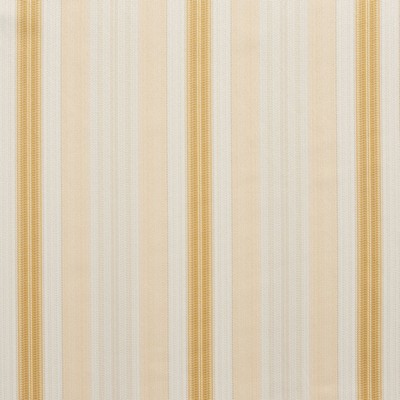 Charlotte Fabrics D300 Antique Noble Stripe Beige Multipurpose Polyester  Blend Fire Rated Fabric Heavy Duty CA 117 Damask Jacquard Wide Striped 