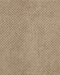 D3018 Taupe by   